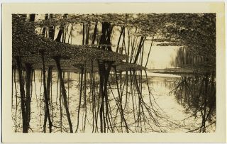 GORGEOUS POND and WATERLOGGED WINTER SCENE w TREES & AWESOME REFLECTIONS 2