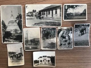 9 Photographs 1930s Views In Colombo Sri Lanka And Elephants