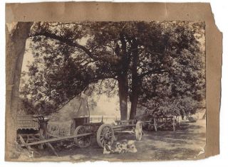 Pangbourne Berks,  Webb & Son Timber Merchants Carts - Antique Photograph C1880