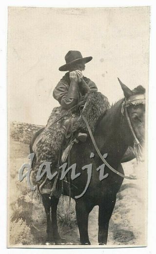 Cowgirl In Wooly Chaps,  Hat On A Horse Plays A Harmonica Old Out West Music Photo