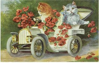 Artist Drawn Old Postcard Anthropomorphic Cats Driving Vintage Car Poppies