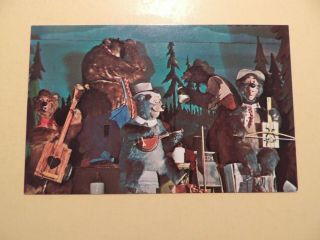Walt Disney World Orlando Florida Vintage Postcard Country Bear Jamboree
