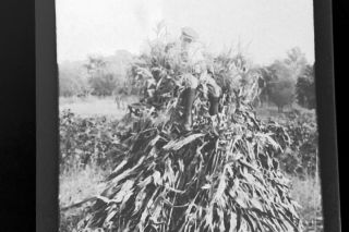 6 Vintage 1920 ' s Photo Negs of Cute Lonely Boy Playing Model Airplane in Corn, 5