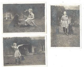 Edwardian Girl With Air Rifle & Pet Dogs - 3x Antique Photographs C1912
