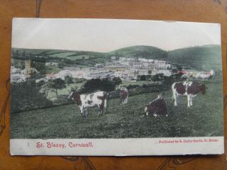 St Blazey Village,  Par,  Cornwall,  England - Antique Edwardian 1907 Moo Cows Ppc