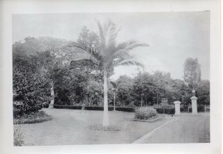 51690.  Vintage 1890 Platinotype Photo British Singapore Groomed Hotel Grounds