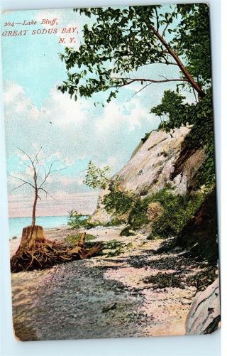 Lake Bluff Great Sodus Bay Ny York Vintage Postcard B81