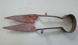 Vintage Sheep Shears Old Rusty Farm Tool Primitive Cutters For Display 2