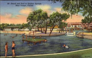 Sulphur Springs Near Tampa Florida Fl Beach And Pool 1940s