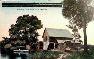 Vintage Postcard Florida - 1940 