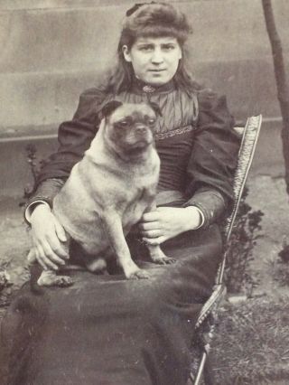 Pug Dog Cabinet Card Young Woman With Her Pet Dog Before The Push Nose