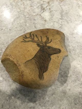 Jackson Hole,  Wyoming Rock With Etched/drawn/painted Elk Cool Pre - Owned Piece