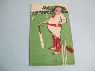 Cricket Postcard Artist Drawn Taylor Postally Tasmania Postmarked Sheffield