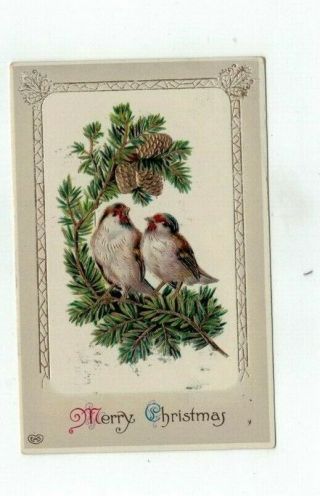 Antique 1914 Embossed Schwerdtfeger Glossy Christmas Post Card Birds Gold Foil
