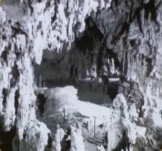 Jenolan Caves,  Australia,  Circa 1910 