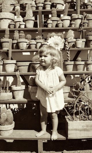 1930s Era Photo Negative Kid Finds Herself In Prickly Situation Cactus Austin Tx