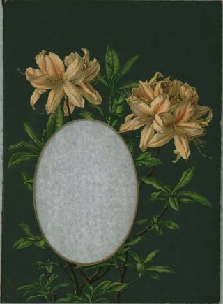 Antique Victorian Colour Album Photo Mount Frame Floral Flowers Hl3.  1100