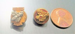 Vintage 10k Gold Moose Lodge 25 Year And Brass Pap Loyal Order Of The Moose Pins