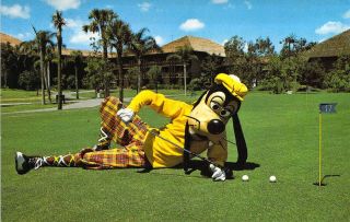 Walt Disney World 0100 - 10267 Goofy Way To Putt,  Golf,  Vintage Postcard