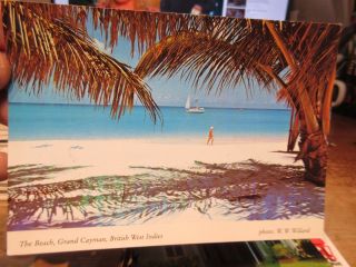 Other Old Postcard Grand Cayman Islands British West Indies Beach Palm Trees