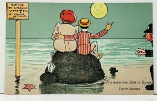 Seaside Spooners,  No Spooning After 7pm,  Smiling Moon Sneaky Cop Postcard I15