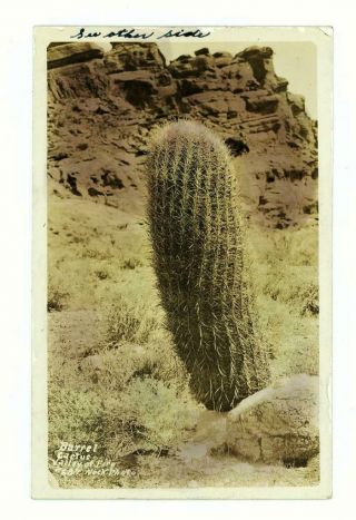 Barrel Cactus Valley Of Fire State Park Overton Nevada 1930 