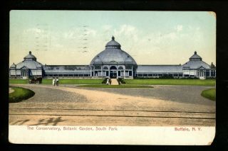 Buffalo,  York Ny Vintage Postcard Conservatory Botanic Garden South Park