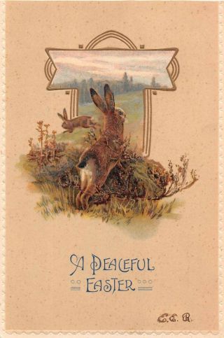 Brown Bunnies On Old Easter Postcard - F3000 By The Rotograph Co.  Ny City
