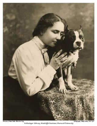 8x10 Sepia Photo: Helen Keller Portrait W Boston Terrier Dog Sir Thomas Tom 1902