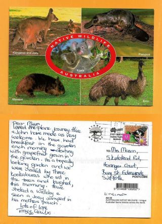 Australia Large Postcard Butterfly Stamp Native Wildlife - Koala - Kangaroo - Emu.