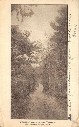 Les Cheneaux Islands Michigan 1913 Postcard A Forest Walk In The Snows