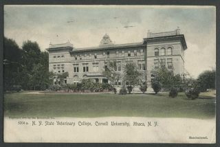 Ithaca Ny: 1905 Hand - Colored Postcard N.  Y.  State Veterinary College At Cornell