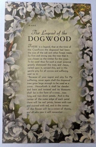 Vintage 1930 - 45 Linen " The Legend Of The Dogwood " Postcard N - 660 Unposted