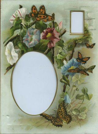 Page From Victorian Photo Album 3 - Flowers & Butterflies