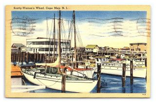 Vintage Postcard Scotty Warren 
