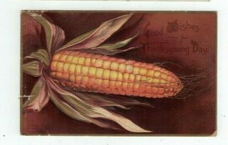 Antique 1910 Embossed Thanksgiving Post Card Large Ear Of Corn On Brown Backing