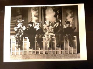 Vtg Real Photo Postcard Children Dressed As Cats Kitten Staircase 1934 Halloween