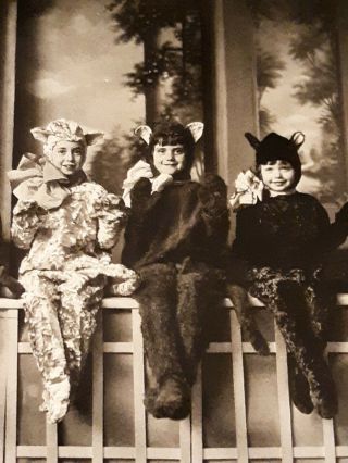 Vtg Real Photo Postcard Children Dressed as Cats Kitten Staircase 1934 Halloween 4