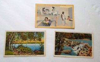 3 Vintage Linen Arkansas Postcards Bath House Devils Den West Memphis