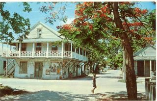 Vintage Key West Florida Fl " Royal Poinciana On Key West Lane " Postcard