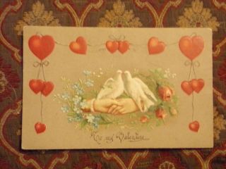 Vintage Postcard To My Valentine,  Hearts,  Doves,  Forget Me Nots,  Roses