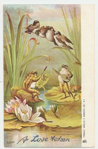 Frog Plays Mandolin A Love Token,  Froggy Would A Wooing Go,  Tuck 2598 Postcard