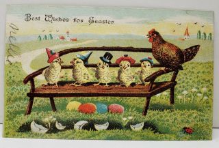 Best Wishes For Easter Chicks On A Bench With Momma Hen 1907 Postcard C18