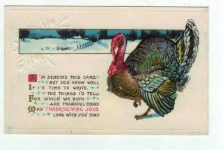 Antique Embossed Stecher Thanksgiving Post Card Turkey Winter Scene & Verse