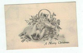 Antique 1912 Cat Christmas Post Card Playful Kittens With Basket Of Mistletoe