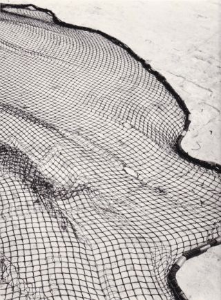 Large Vintage Silver Photograph 1950s Modernist Net Abstraction 1950