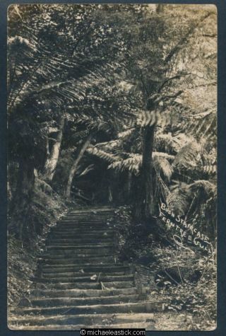 Fern Tree Gully.  A Bush Staircase