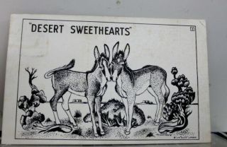 Scenic Desert Sweethearts Postcard Old Vintage Card View Standard Souvenir Post