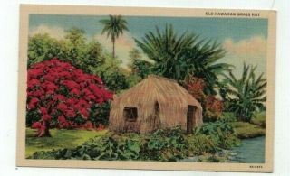 Hi Hawaii Antique Linen Post Card " Old Hawaiian Grass Hut "