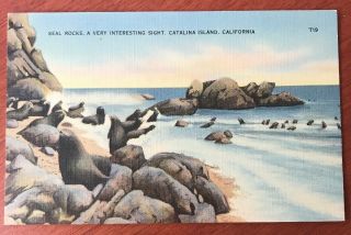 Vintage Postcard: Seal Rocks,  Catalina Island,  Ca.  Linen
